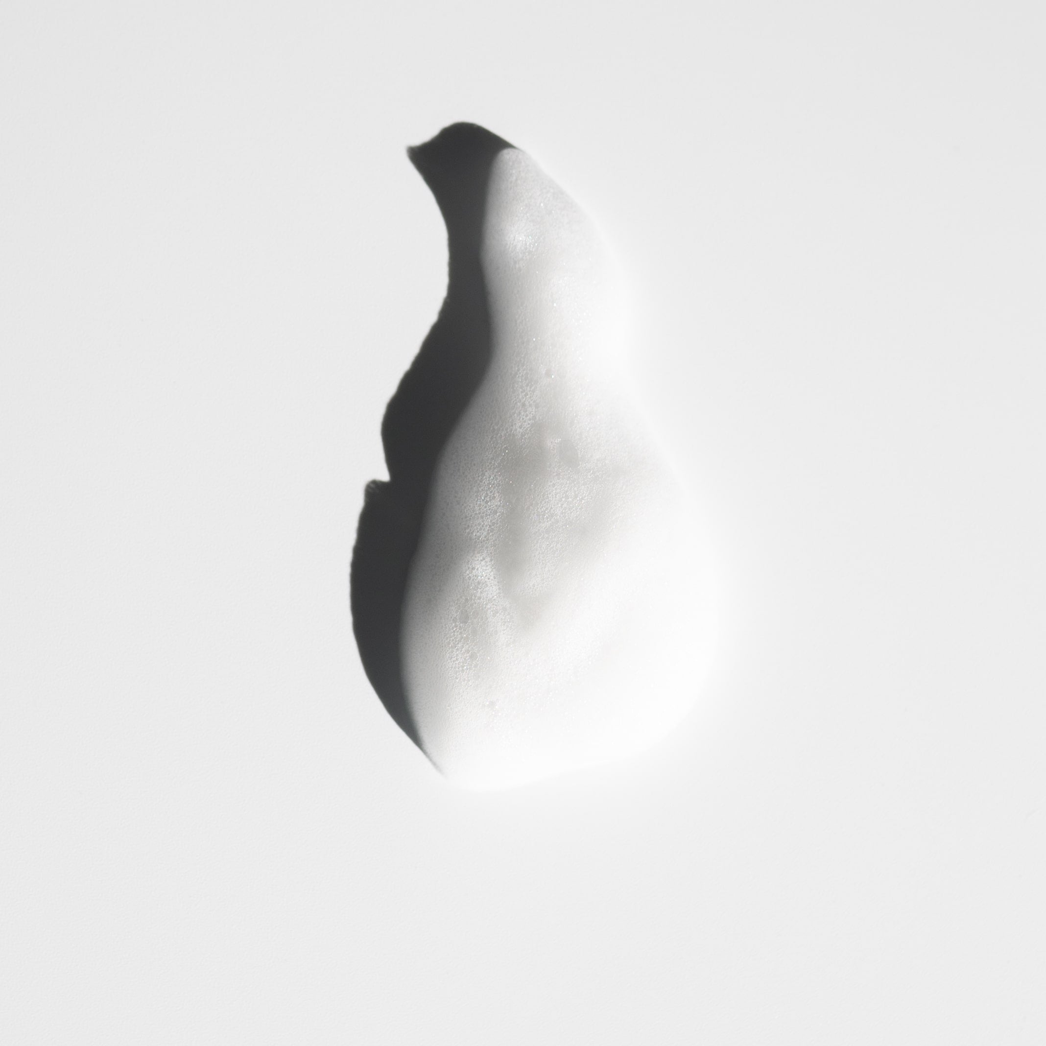 img_logo