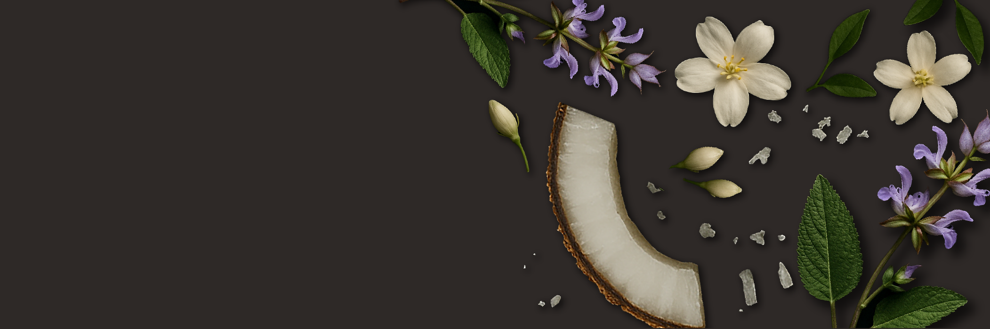 banner image pdp
