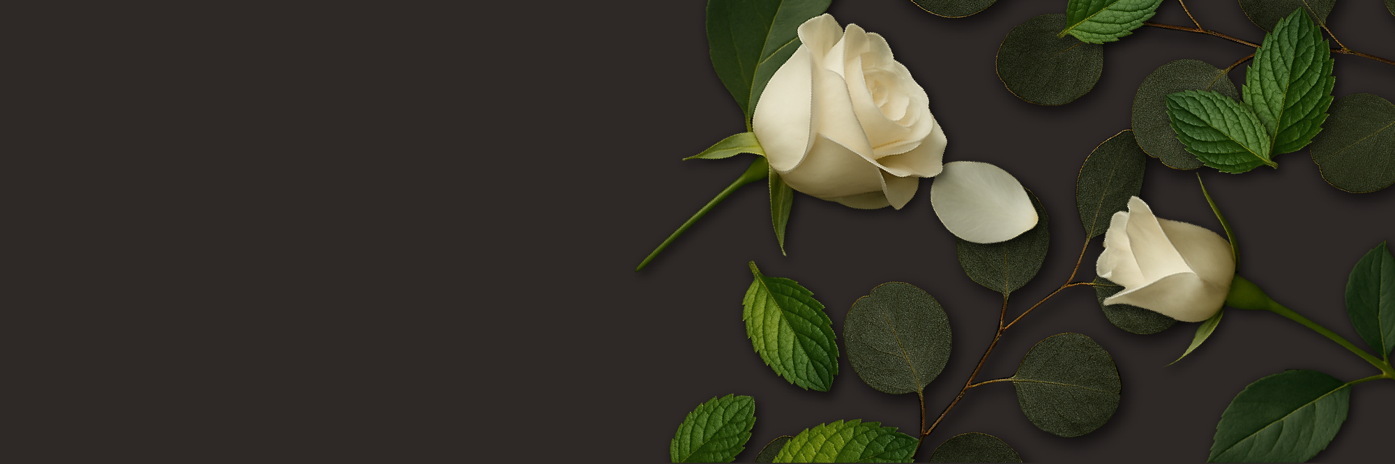banner image pdp
