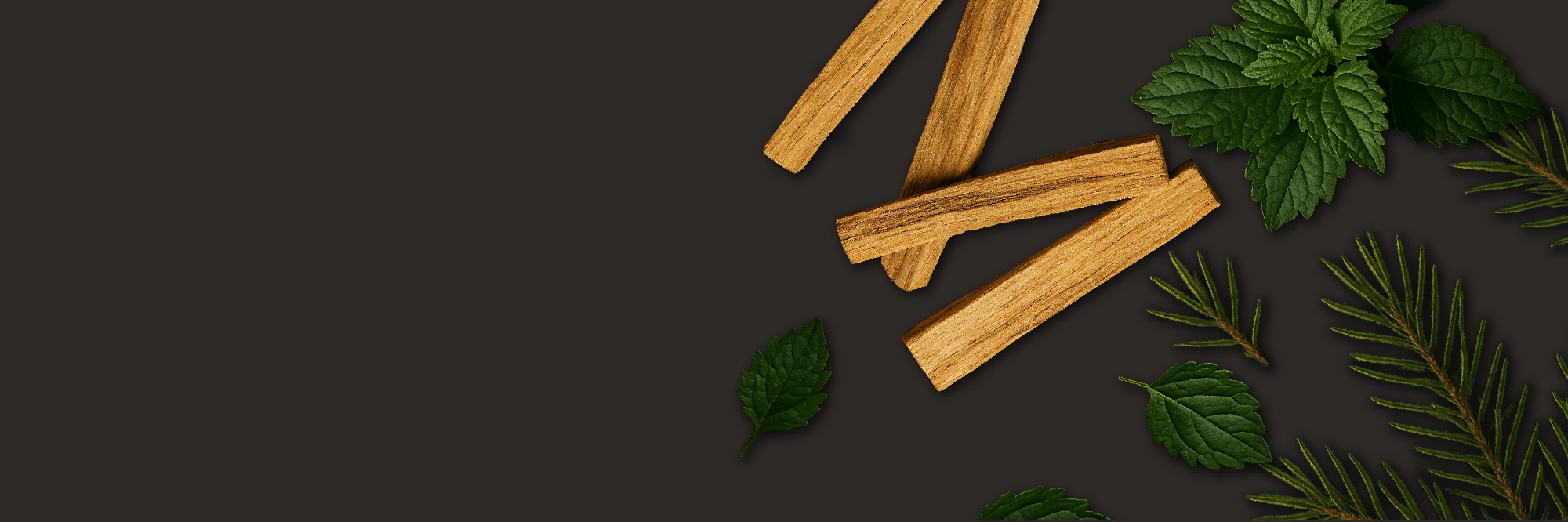 banner image pdp