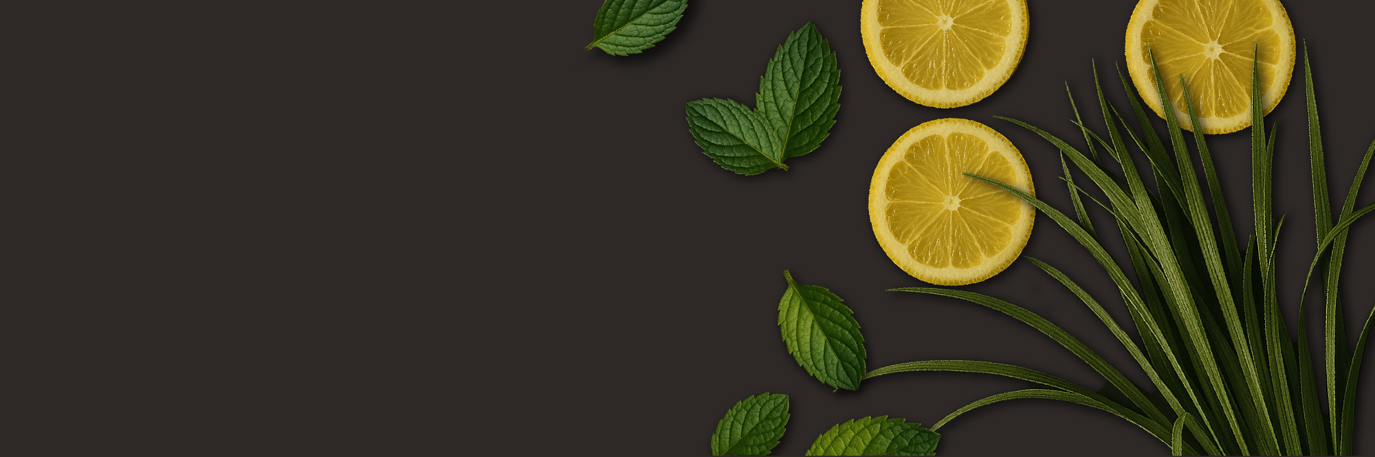 banner image pdp