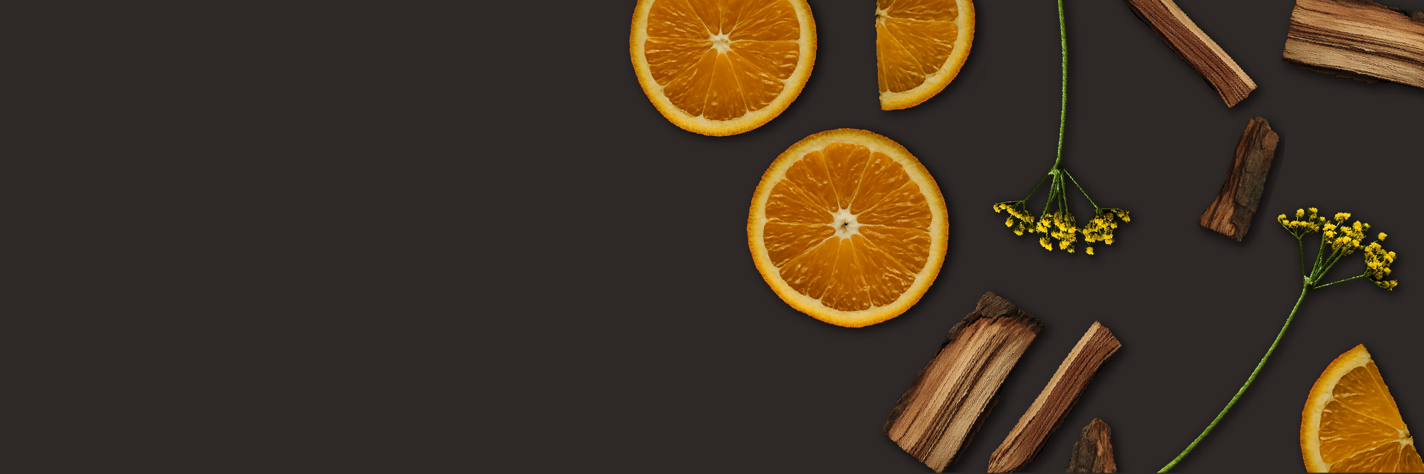 banner image pdp