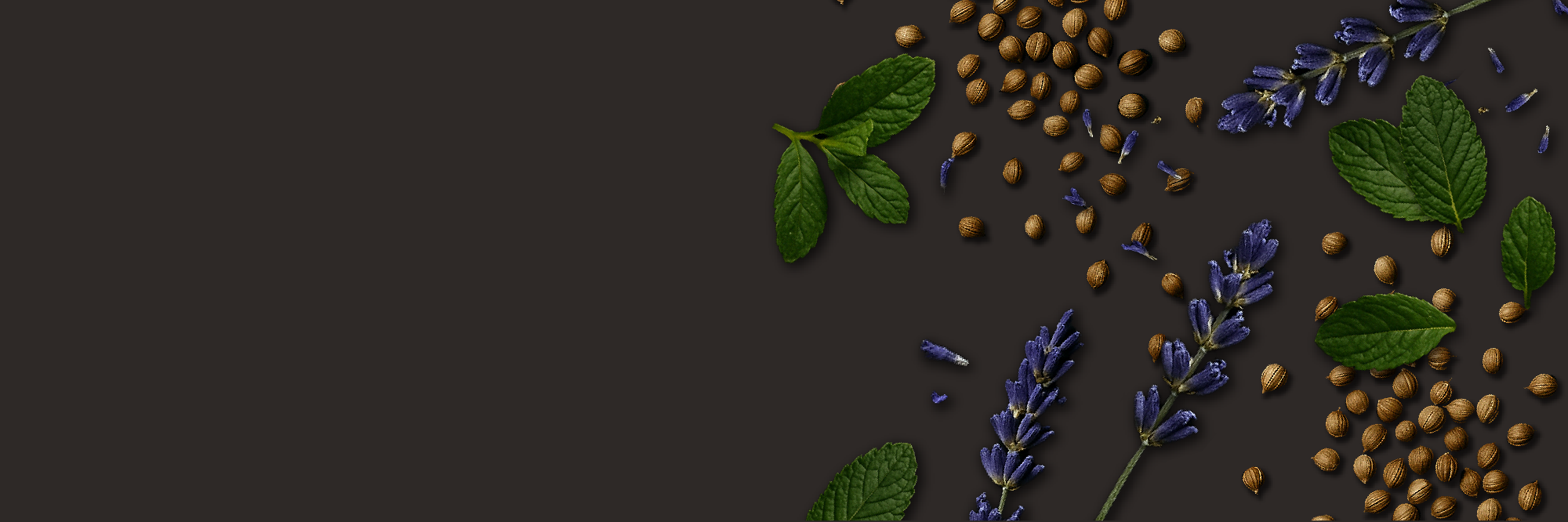 banner image pdp