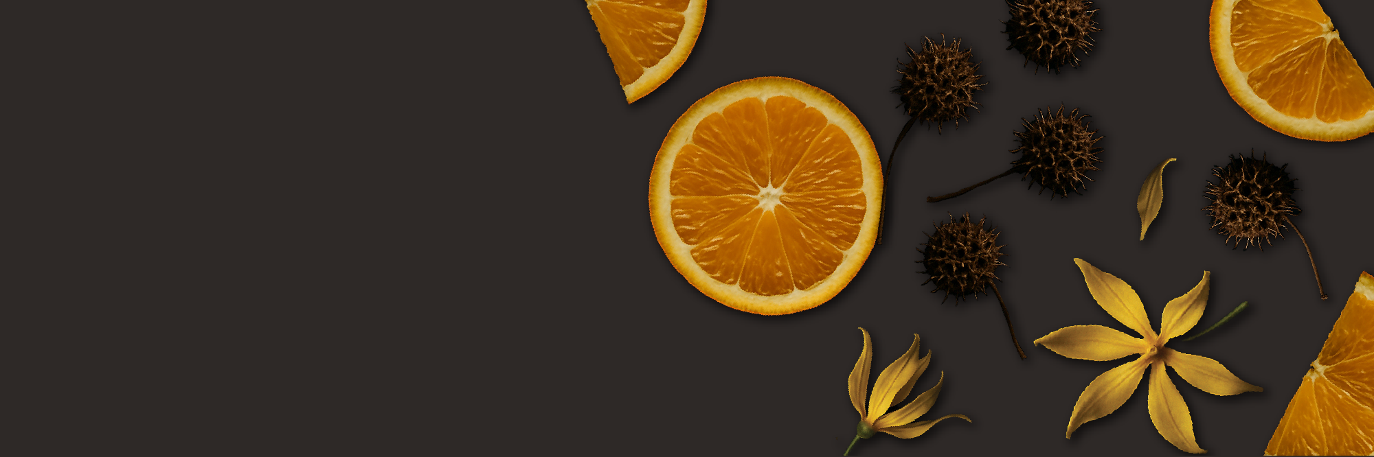 banner image pdp