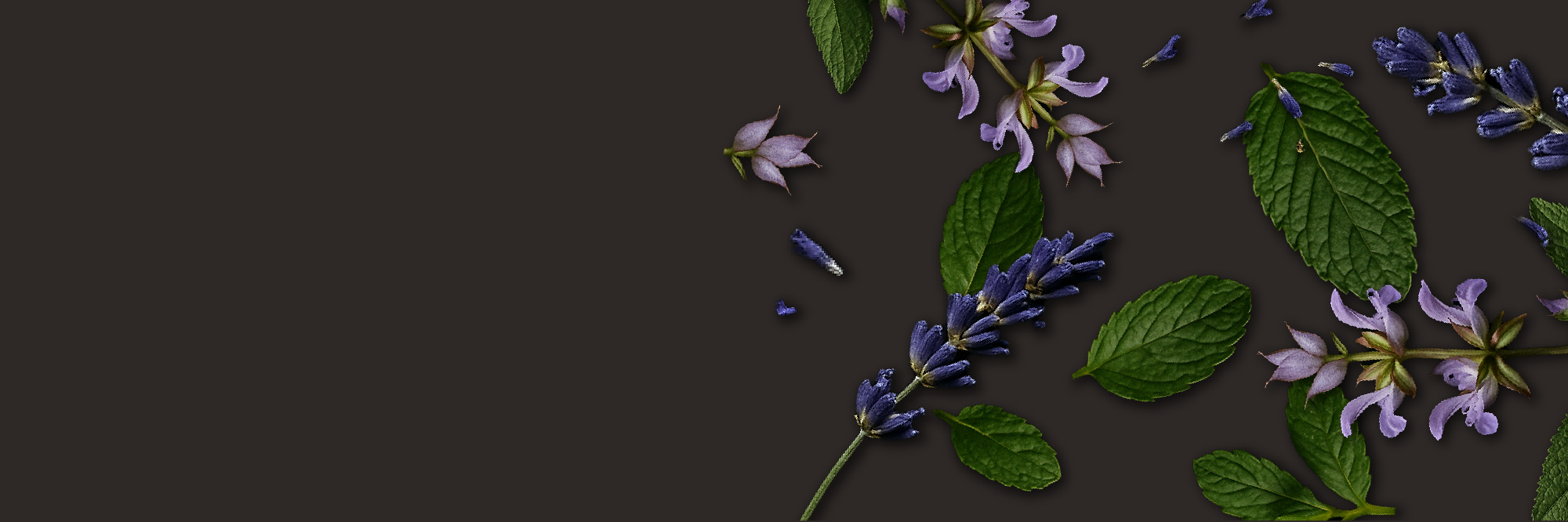 banner image pdp