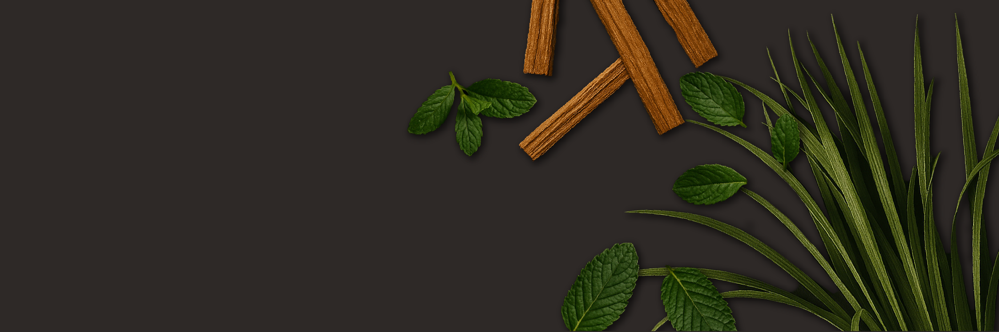 banner image pdp