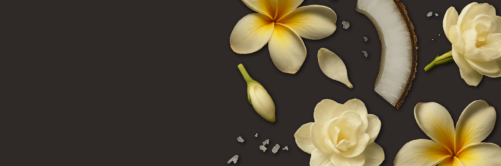 banner image pdp
