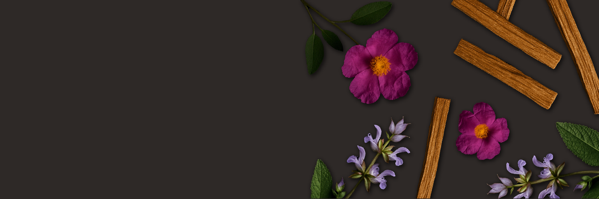 banner image pdp