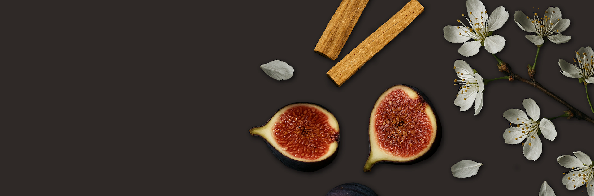 banner image pdp