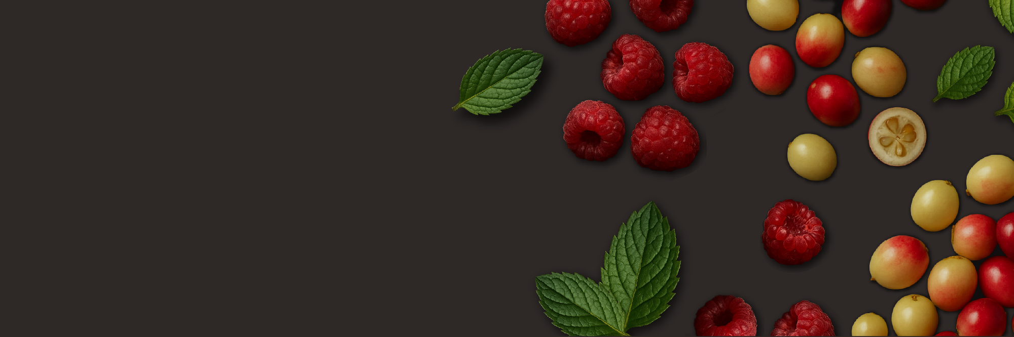 banner image pdp