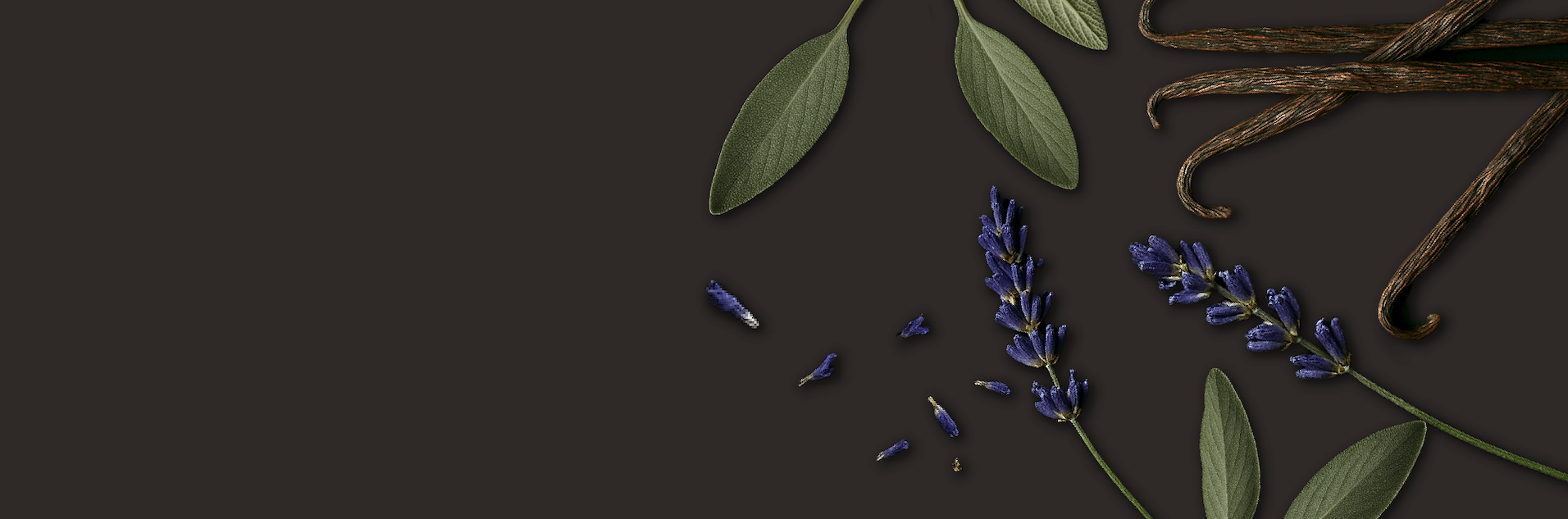 banner image pdp